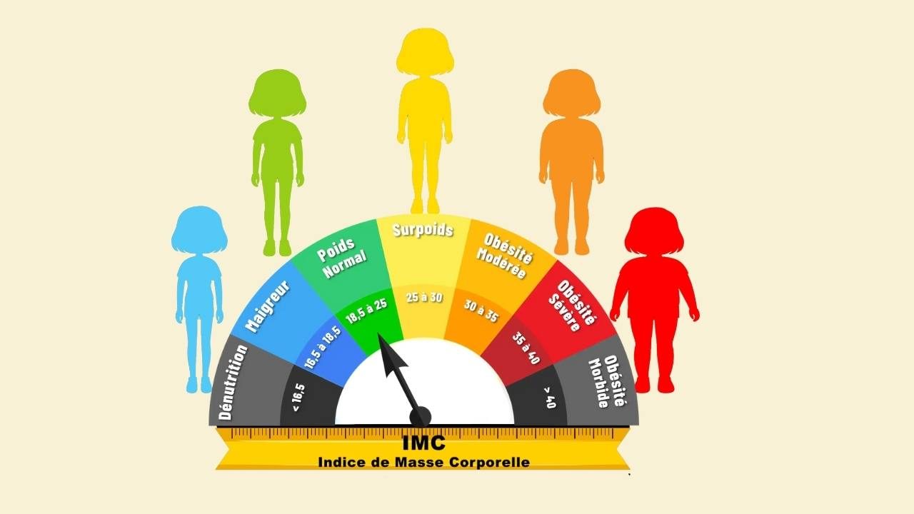 imc indice de masse corporelle